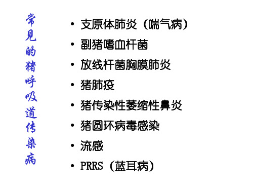 【医学ppt课件】常见的猪呼吸道传染病