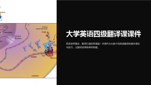 大学英语四级翻译课课件