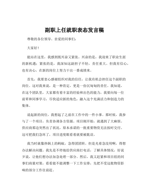 副职上任就职表态发言稿