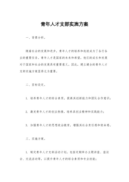 青年人才支部实施方案