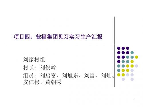 刘家村组项目四：瓮福集团见习生产实习汇报