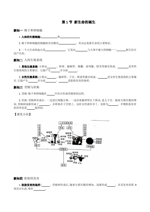 浙教版科学七年级下册学案设计  7.1 新生命的诞生