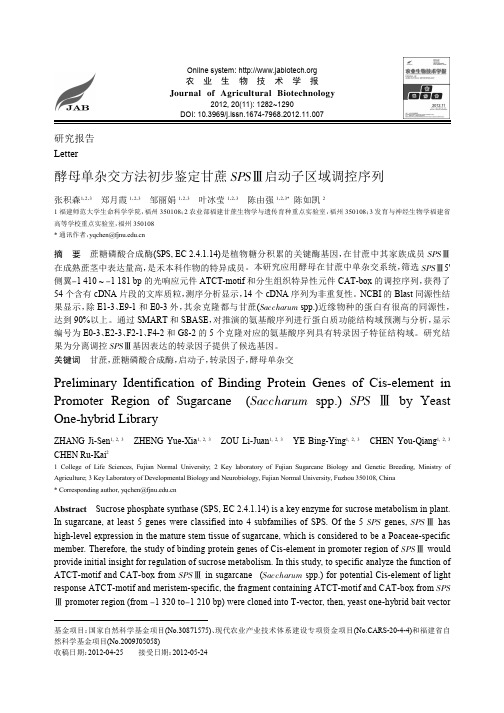 酵母单杂交方法初步鉴定甘蔗SPSE启动子区域调控序列