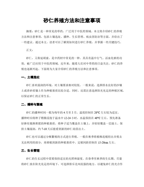 砂仁养殖方法和注意事项