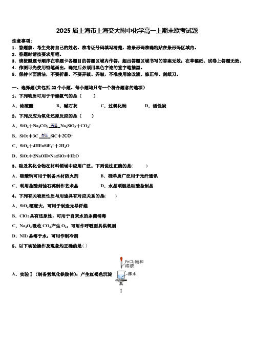 2025届上海市上海交大附中化学高一上期末联考试题含解析