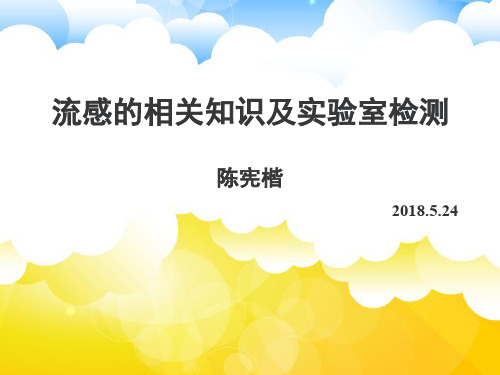 流感的相关知识及实验室检测PPT课件