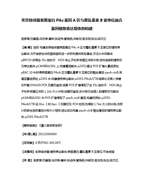 变异链球菌表面蛋白PAc基因A区与霍乱毒素B亚单位融合基因植物表达载体的构建