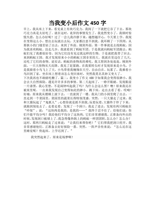 当我变小后作文450字