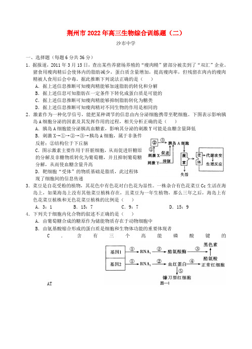 湖北省2022届高三生物综合训练2新人教版