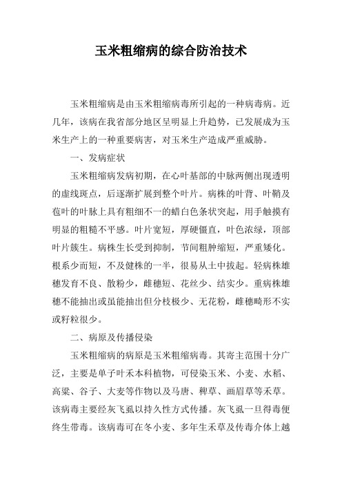 玉米粗缩病的综合防治技术