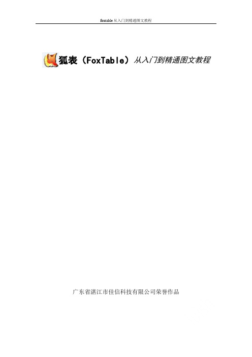 foxtable从入门到精通图文教程