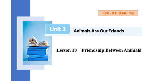 Unit3Lesson18FriendshipBetweenAnimals课件初中英语冀教版八年级下