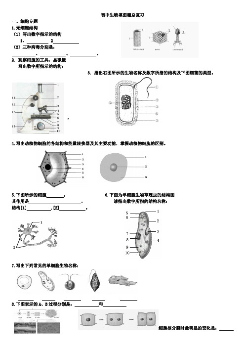 七年级生物填图题总复习