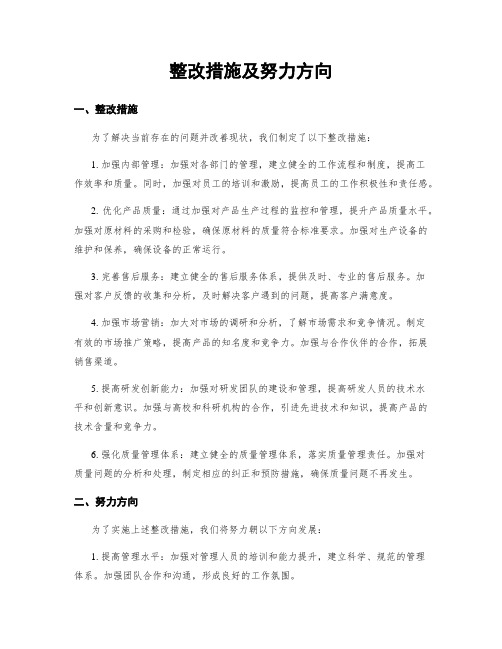 整改措施及努力方向