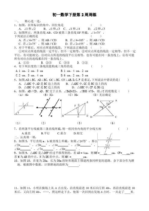 七年级数学下册第2周周练试卷