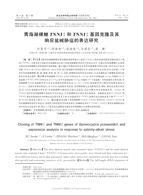 青海湖裸鲤TNNI1和TNNI2基因克隆及其响应盐碱胁迫的表达研究