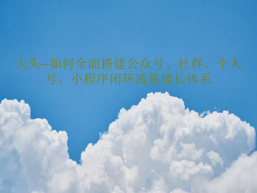 大头--如何全面搭建公众号、社群、个人号、小程序闭环流量增长体系共39页文档