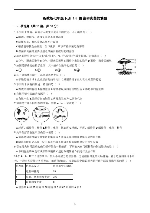 浙教版七年级下册 1.6 细菌和真菌的繁殖 同步练习