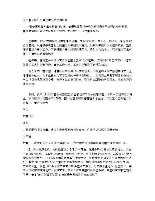 关于基层团组织建设情况的工作报告