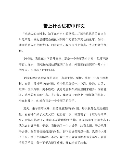 带上什么进初中作文