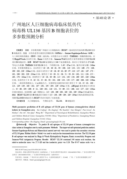 广州地区人巨细胞病毒临床低传代病毒株UL136基因B细胞表位的多参数