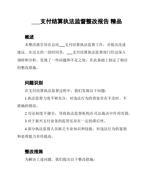 ___支付结算执法监督整改报告 精品