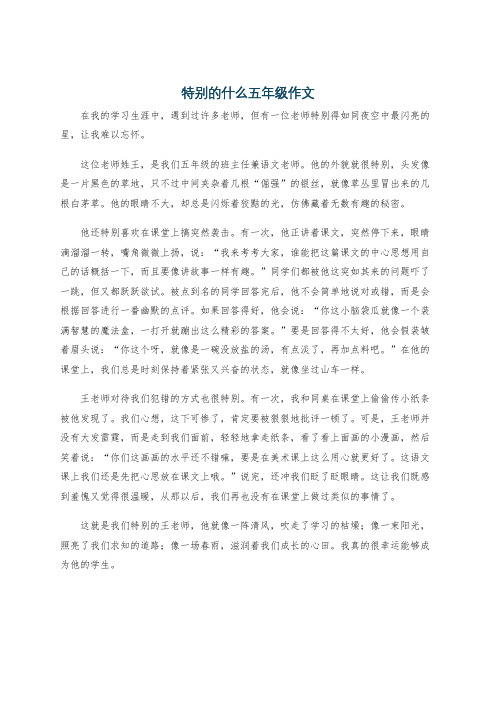 特别的什么五年级作文