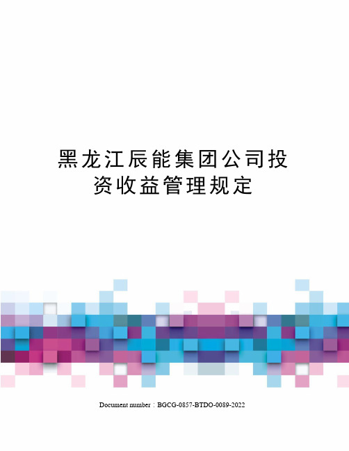 黑龙江辰能集团公司投资收益管理规定