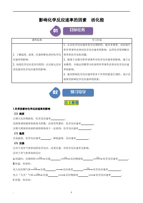 高中化学选择性必修一教案讲义：影响化学反应速率的因素 活化能(教师版)
