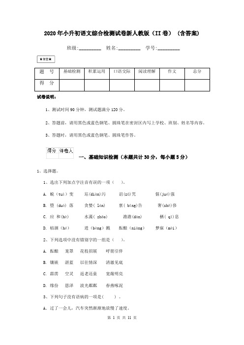 2020年小升初语文综合检测试卷新人教版(II卷) (含答案)