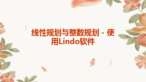 线性规划Lindo软件-整数规划