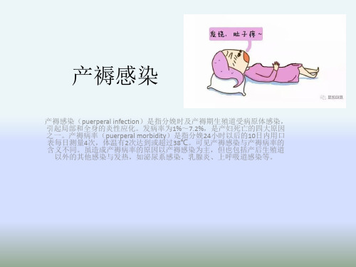 产褥感染ppt