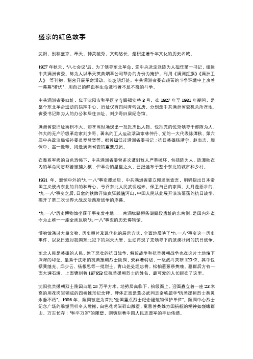 辽宁红色故事500字