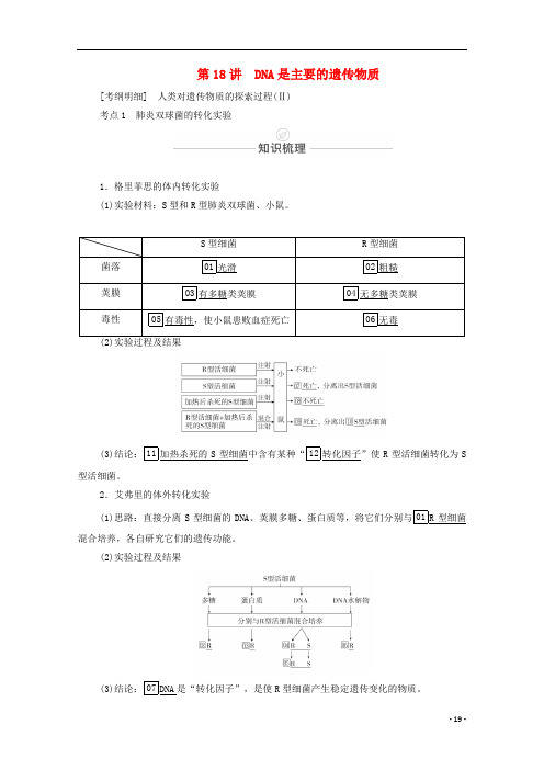 高考生物一轮复习第18讲DNA是主要的遗传物质教学案新人教版必修2