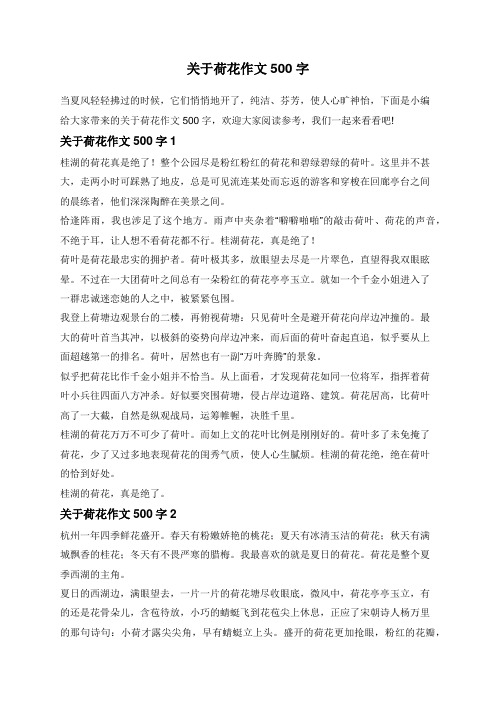 关于荷花作文500字