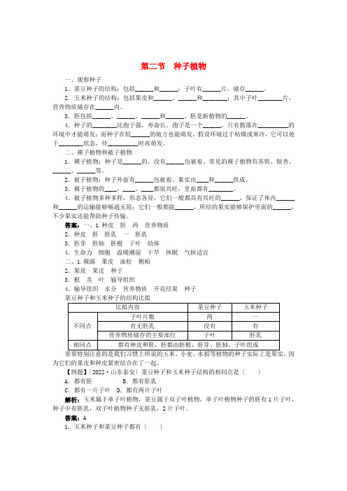 (新)人教版七上3.1.2《种子植物》练习及答案