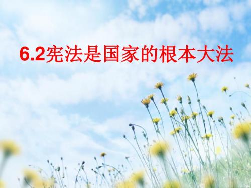 人教版九年级思想品德 6.2宪法是国家的根本大法(共20张PPT)