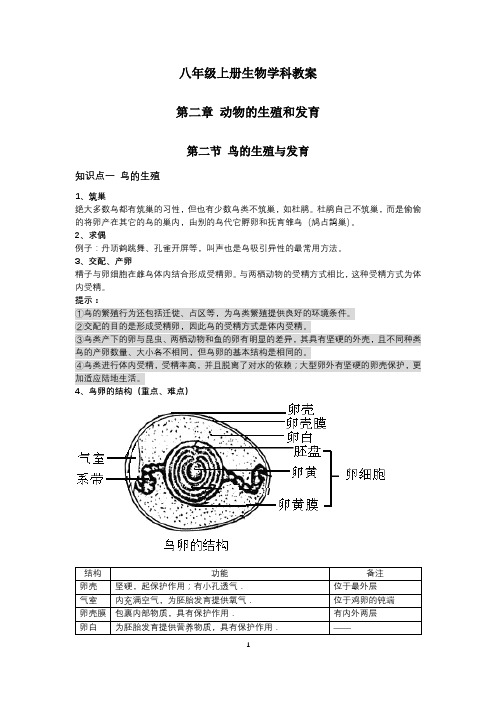 【八上济南版生物】 第三节 鸟的生殖和发育