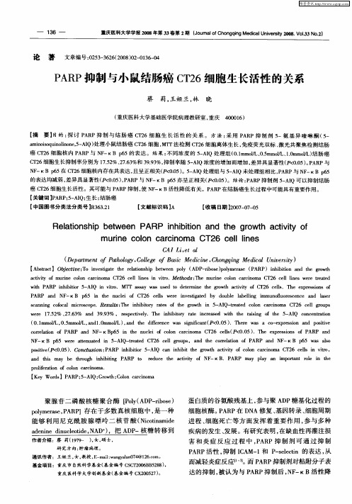 PARP抑制与小鼠结肠癌CT26细胞生长活性的关系