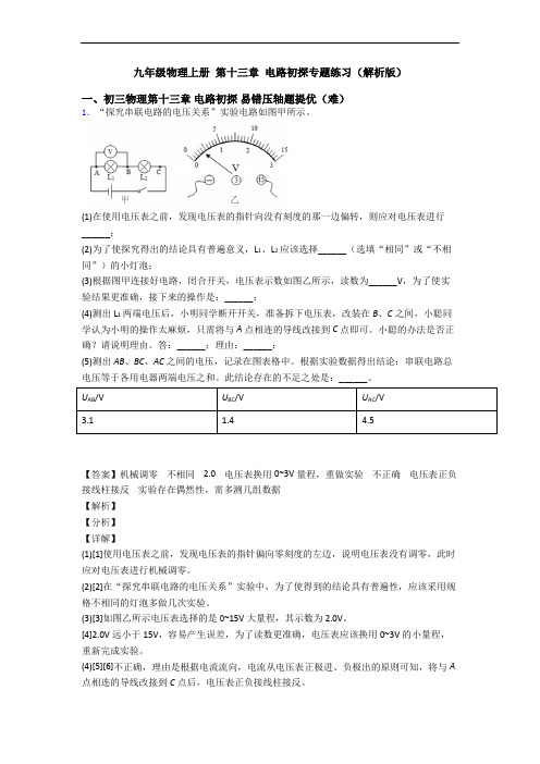 九年级物理上册 第十三章 电路初探专题练习(解析版)