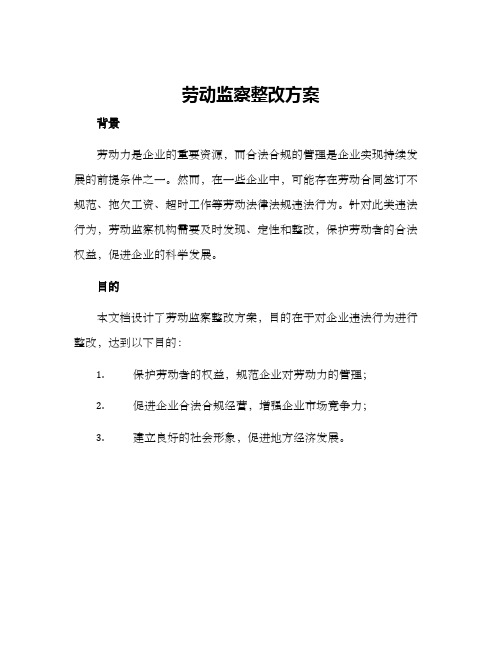 劳动监察整改方案