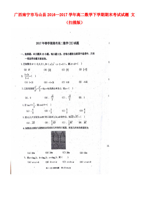 广西南宁市马山县高二数学下学期期末考试试题文(扫描版)