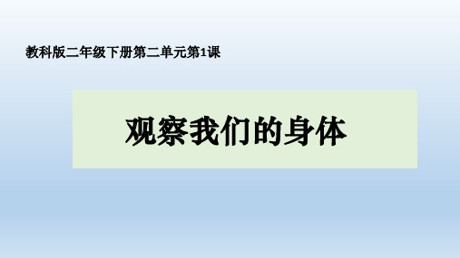 教科版(2017秋)科学二年级下册1- 观察我们的身体  课件