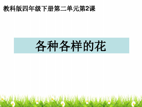 最新教科版科学四年级下册《各种各样的花》精品课件