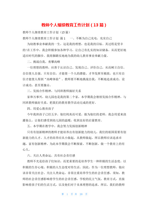 教师个人继续教育工作计划(13篇)