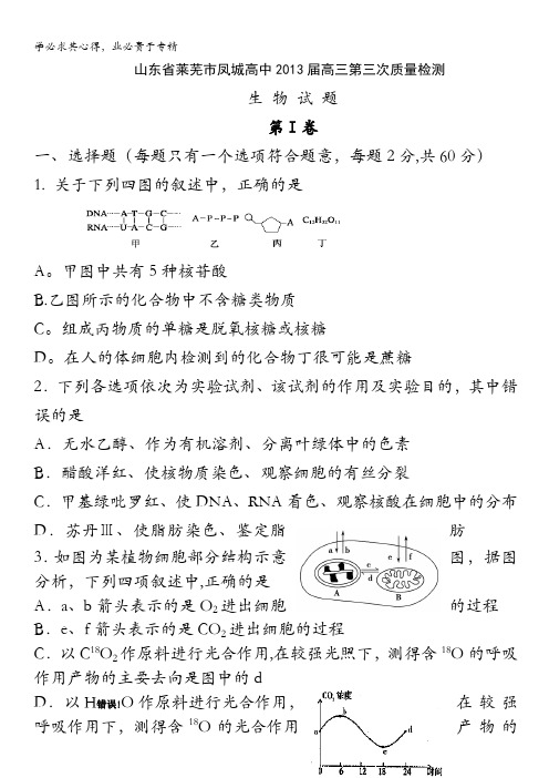 山东省莱芜市凤城高中2013届高三第三次质量检测 生物 含答案