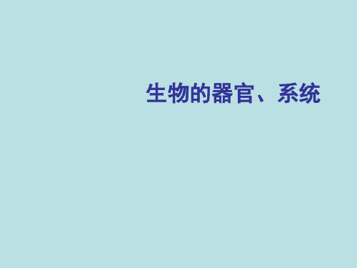 北师大版七年级上册生物   生物体的器官、系统 课件 