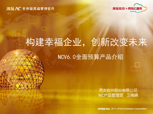 用友NCV6全面预算特性介绍