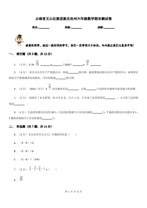 云南省文山壮族苗族自治州六年级数学期末测试卷