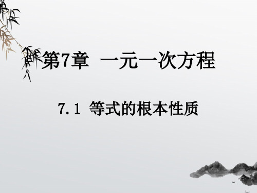 《等式的基本性质》PPT课件 (公开课获奖)2022年青岛版 (3)